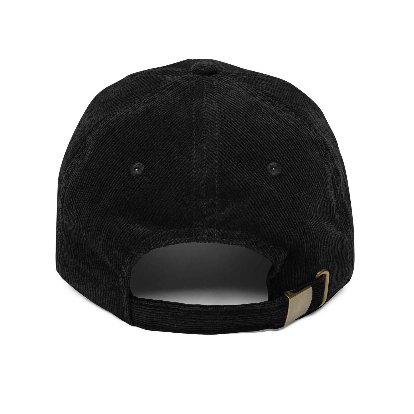Taylor's Version Cap inspired by Taylor Swift, perfect for Swifties