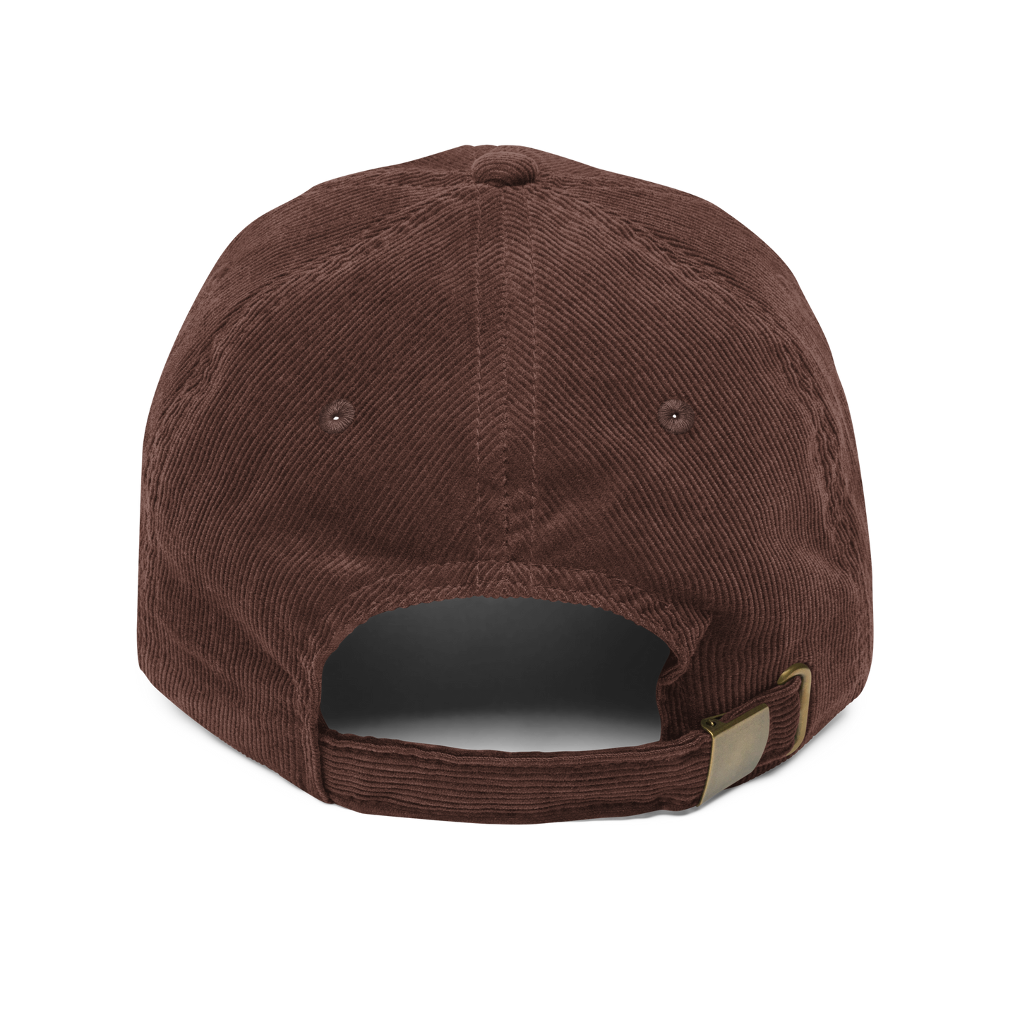 Taylor's Version Cap inspired by Taylor Swift, perfect for Swifties