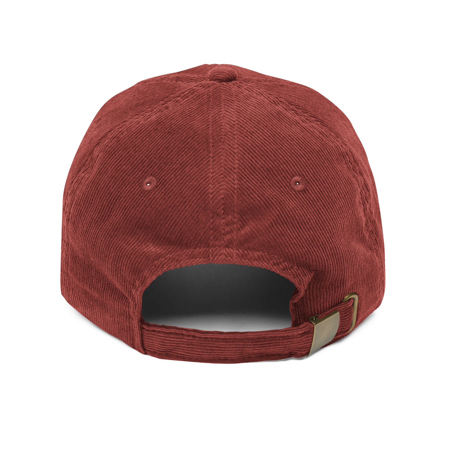 Belieber Cap inspired by Justin Bieber, perfect for fans